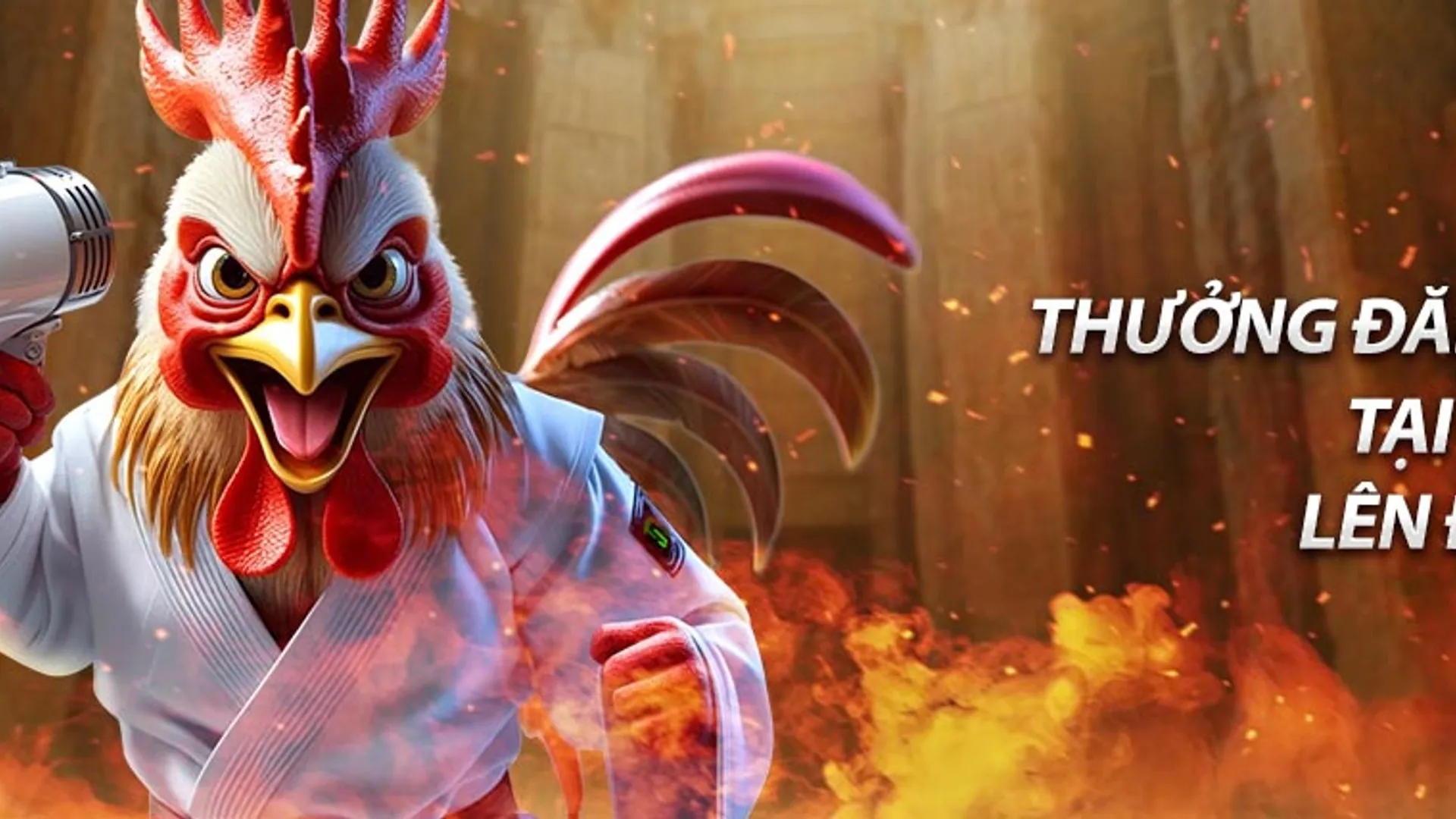 Khuyến mãi độc quyền tại MCW77