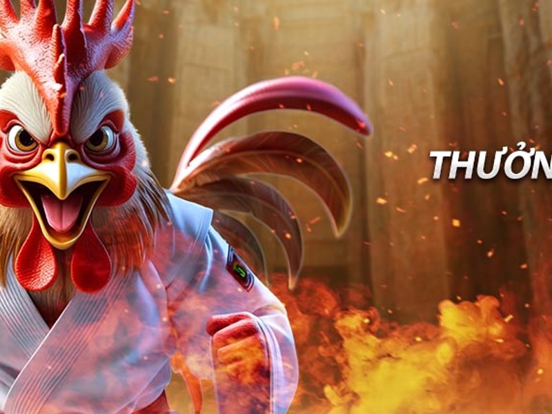 Kèo FTD - Gà chết đầu tiên