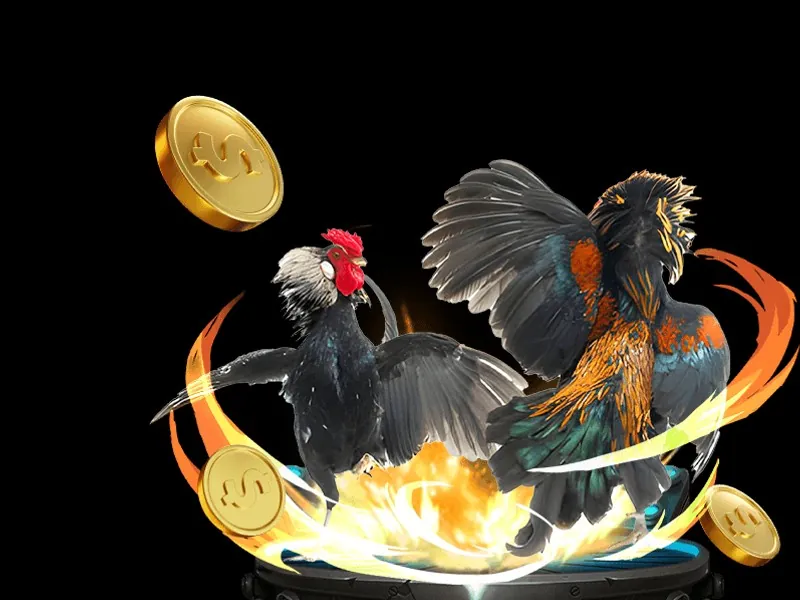 Bảng lịch thi đấu đá gà trực tuyến được cập nhật hàng ngày trên nền tảng MCW77, hiển thị các trận đấu sắp tới