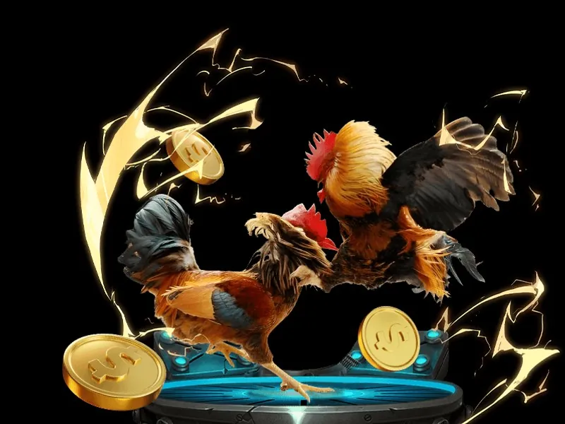 Hình ảnh đá gà MCW77