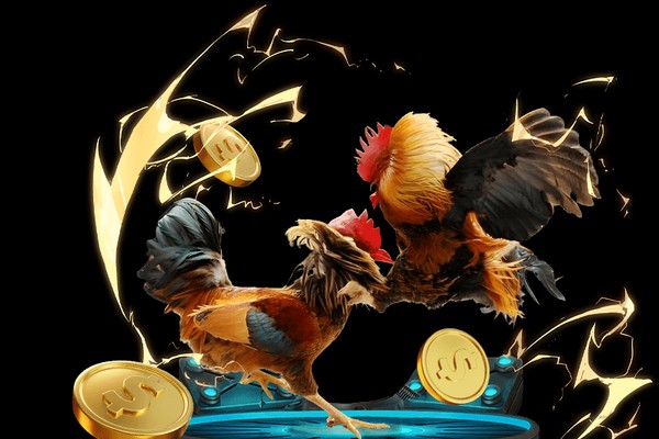 Hình ảnh người dùng MCW777 đá gà